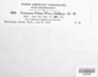 Uromyces viciae-fabae image